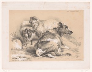 Studie von zwei Schafen und einer Kuh von Pierre Frédéric Lehnert