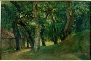 Wald der Villa Borghese von Pierre-Henri de Valenciennes