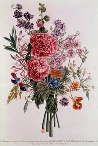 Bouquet aus Rosen Lithographie von Pierre Joseph Buchoz (1731-1807) 18. Jahrhundert Paris, B.N. von Pierre Joseph Buchoz