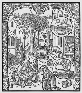 November, Schweineschlachtung und Eichelernte, Skorpion, Illustration aus dem 