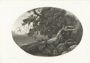 Entwurzelter Baumstamm an der Küste von Pierre Louis Dubourcq