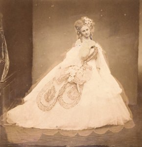 La Bisi. Boudoir, grauer Samtrobe, rosa Moiré, rosa Blumen, graue Blätter von ihrer Mai, 1860er von Pierre Louis Pierson