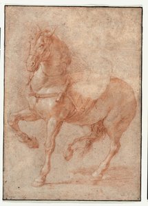 Studie von Bucephalus für das Relief "Alexander und Diogenes" von Pierre Puget