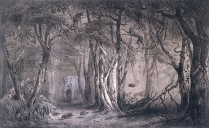 Urwald am Rande des Blauen Nils, aus Voyages au Soudan Oriental et dans l