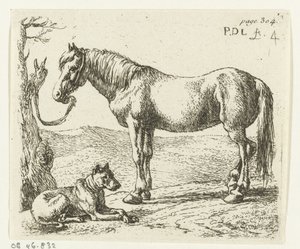 Pferd und Hund auf einer Weide