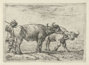 Zwei Büffel und ein Hirte von Pieter Bodding van Laer