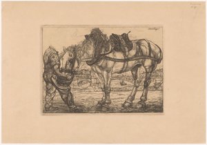Mann füttert ein Pferd aus einem Eimer von Pieter Dupont