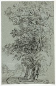 Straße vorbei an Bäumen von Pieter Gaal