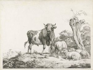 Ein Stier, ein Widder und zwei liegende Schafe bei einer Kopfweide