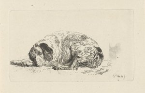 Liegender Hund
