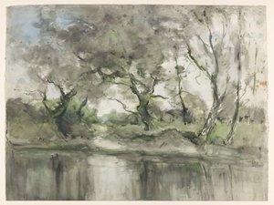 Bäume am Wasser