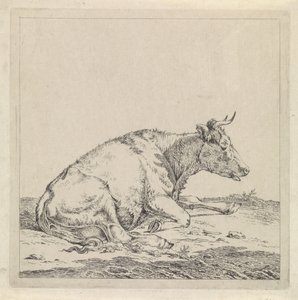 Liegende Kuh, nach rechts von Pieter Janson