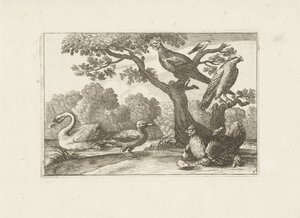 Huhn mit Küken und anderen Vögeln