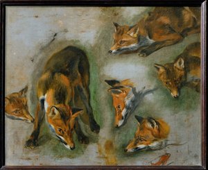Ein Fuchs von Pieter or Peter Boel