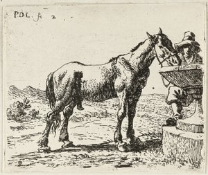 Trinkendes Pferd