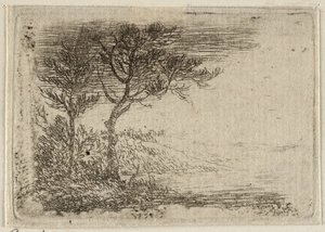 Landschaft mit zwei Bäumen