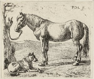 Das Pferd und der Hund