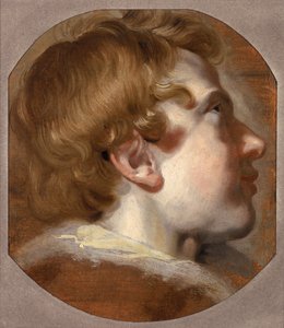 Kopf eines jungen Jungen, ca. 1620er von Pieter van Mol