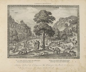 Gott zeigt Adam das Paradies von Pieter van der Borcht (I)