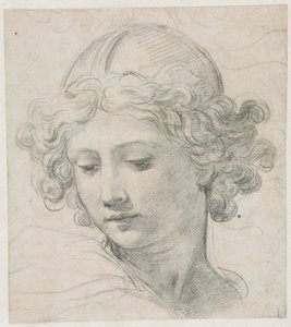 Studie für den Kopf des St. Michael, 1633 von Pietro da Cortona