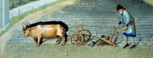 März: Schnee. Landwirtschaftliche Arbeit, Bauer pflügt ein Feld. Detail. Miniatur in „Die sehr reichen Stunden des Herzogs von Berry“ von Pol De Limburg (15. Jahrhundert). Chantilly, Musée Condé von Pol de Limbourg