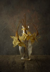 Stimmungsvolles florales Stillleben