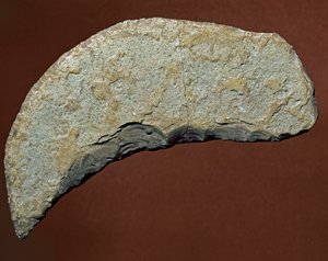 Prähistorisch: Chopper-Werkzeug aus Kjokkenmoddinger, Dänemark. Paläolithikum. Verona, Museo Civico di Storia Naturale, Italien