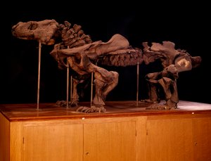 Prähistorie; Dinosaurier: Skelett eines Ichthyosauriers von Prehistoric Prehistoric