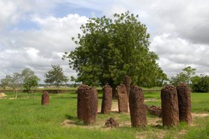 Vorgeschichte: Megalithischer Steinkreis von Wassu, Gambia
