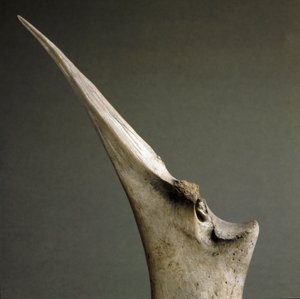 Vorgeschichte, Polada-Kultur: Knochenspitze aus dem Polada-Torfmoor, Lonato. Bronzezeit. Rom, Museo Nazionale Preistorico Etnografico Luigi Pigorini von Prehistoric Prehistoric