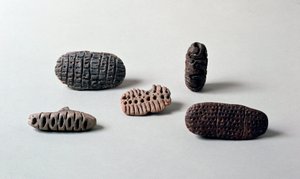 Vorgeschichte: verschiedene Pintaderas (Siegel) aus neolithischer Terrakotta aus der Caverna Delle Arene in Candide (Ligurien). Pegli, Museo Villa Pallavicini von Prehistoric Prehistoric