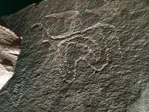 Vorgeschichte, Felskunst: ein gravierter Felsen mit der Darstellung eines Rindes. Tazina-Stil. Steinzeit 5000-2000 v. Chr. Taghit, Hochplateau des Hoggar (Ahaggar), Algerien von Prehistoric Prehistoric