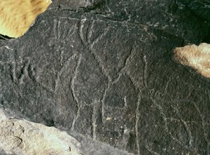 Urgeschichte, Felskunst: Gravur. Steinzeit 5000-2000 v. Chr. Taghit, Hochplateau des Hoggar (Ahaggar), Algerien