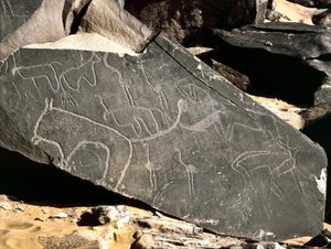 Vorgeschichte, Felskunst: Grabfelsen mit Darstellungen von Löwen, Antilopen, Straußen und Rindern. Steinzeit 5000-2000 v. Chr. Taghit, Hochplateau von Hoggar, Algerien von Prehistoric Prehistoric