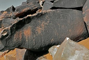 Felskunst: Grabstein mit Darstellung von Rindern. Tazina-Stil. Steinzeit 5000-2000 v. Chr. Taghit, Hochplateau von Hoggar, Algerien von Prehistoric Prehistoric