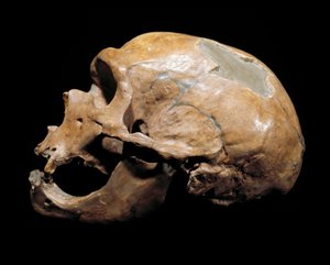 Prähistorie: Schädel des Menschen von der Kapelle zu den Heiligen, Neandertaler, Paläolithikum von Prehistoric Prehistoric