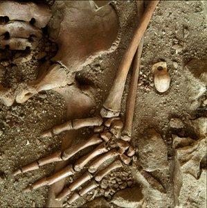 Prähistorisch: Jugendschmuck. Detailansicht des Grabbeigaben aus der Höhle von Candid Arene (Finale Ligure), Ligurien. Oberes Paläolithikum, 24000 v. Chr. Genua, Museo di Archeologia Ligure