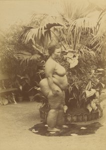 Afrikanische Frau von Prince Roland Napoleon Bonaparte