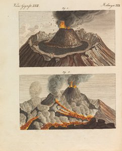 Kinderbilderbuch Kinderenzyklopädie von Friedrich Johann Justin Bertuch, 1798-1830 von Pupils of the Weimar Princely Free
