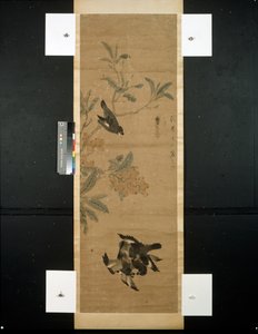 Vögel und Zweig von Qing Dynasty Chinese School