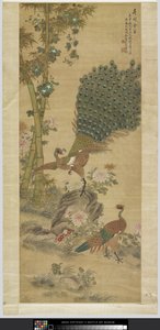 Pfau von Quan Shen