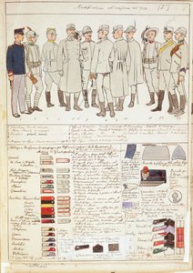Uniformvariationen des Königreichs Italien, Farbtafel von Quinto Cenni