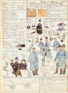 Uniformen und Abzeichen des Königreichs Sardinien von Quinto Cenni, Farbtafel