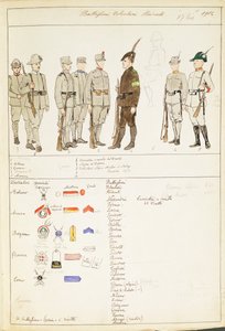 Uniformen der Freiwilligen Studentenbataillone des Königreichs Italien, Farbtafel von Quinto Cenni von Quinto Cenni