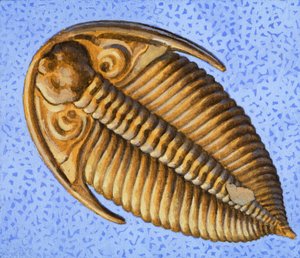 Fossil