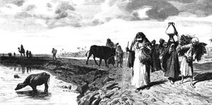 Eine Chaussee im Delta zur Zeit der Flut, 1880 von R. Brandamour