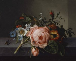 Stillleben mit Rosenast, Käfer und Biene, 1741