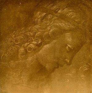 Studie eines Engelkopfes von Raffaellino del Garbo
