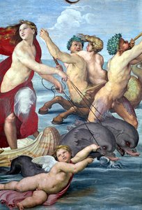 Galatea (Detail) von Raffaello Sanzio Raphael