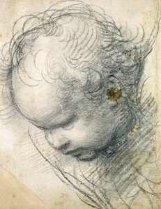 Kopf eines Cherubs von Raffaello Sanzio Raphael